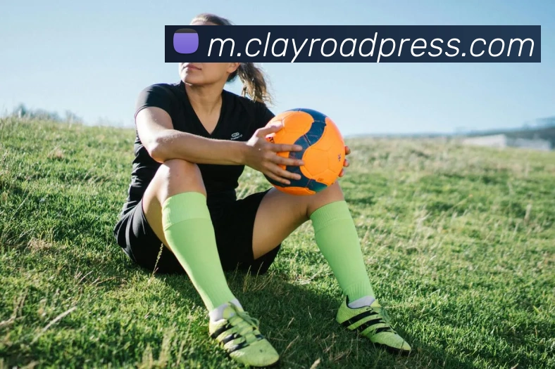 易游网官网入口服务体系